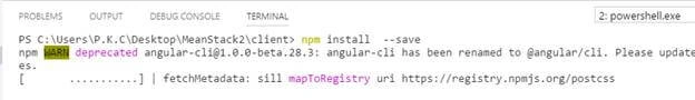 npm install