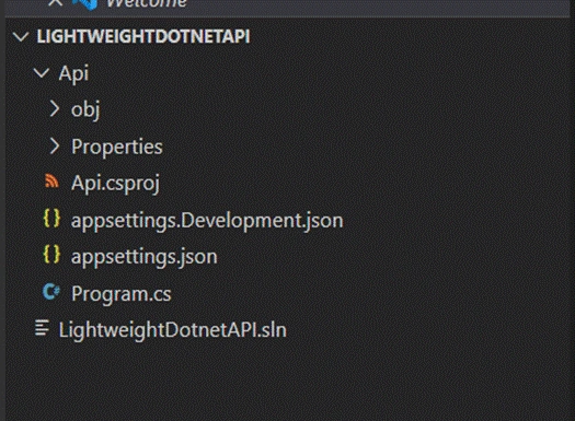 Building Lightweight APIs in .NET 6