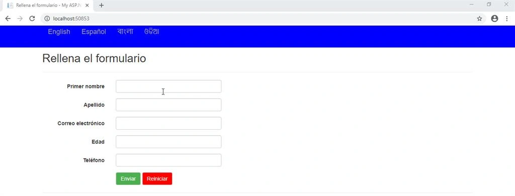 Building 🏗️ Multilingual Web Application Using .NET