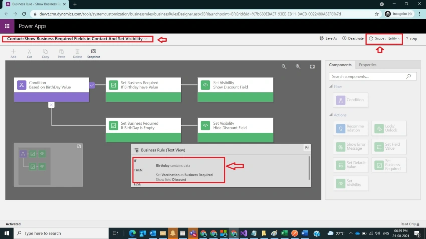 Business Rules with Entity Scope and Custom Code Execution
