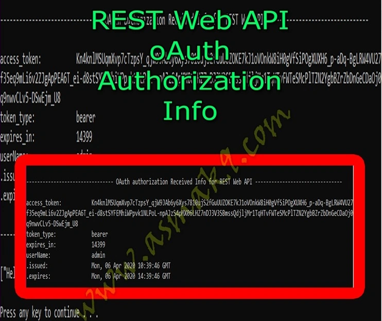  Web API