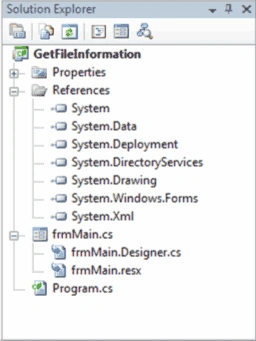 The Project in the IDE's Solution Explorer