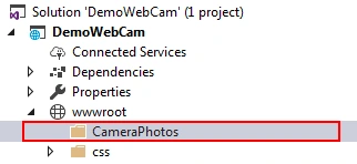 Capturing Image from Web Cam