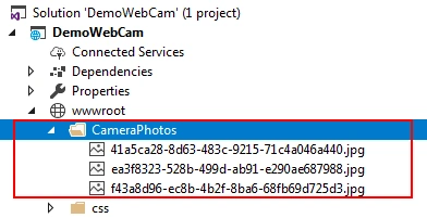 Capturing Image from Web Cam