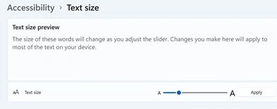 Windows 11 Font Size