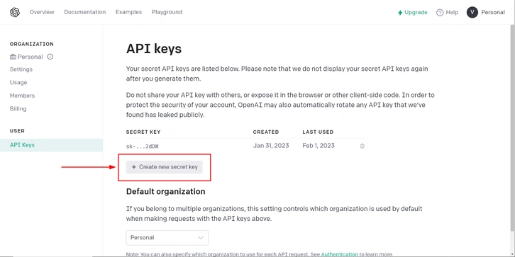 Generating OpenAI API Key