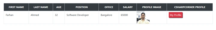 Class Data Binding In Angular