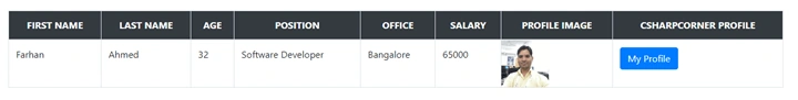 Class Data Binding In Angular