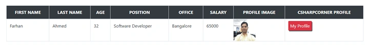 Class Data Binding In Angular