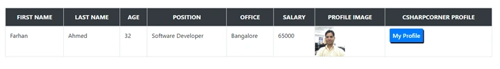 Class Data Binding In Angular