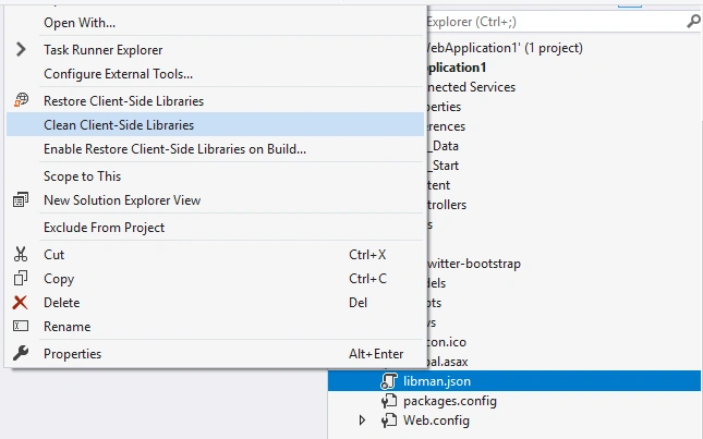 Client-Side Package Management With Library Manager In Visual Studio