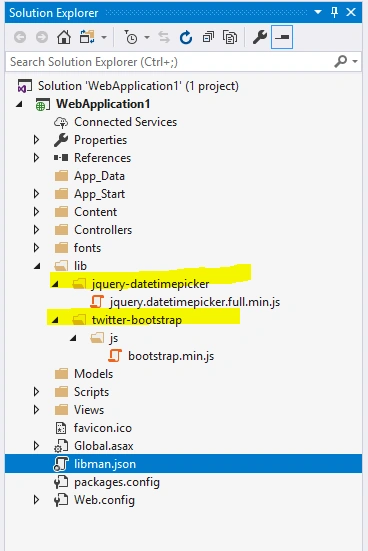 Client-Side Package Management With Library Manager In Visual Studio