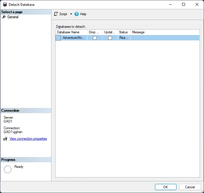 Clone Database from one Instance to another in SQL Server