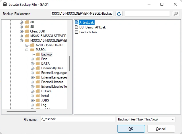 Clone Database from one Instance to another in SQL Server