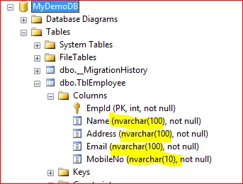 Entity Framework