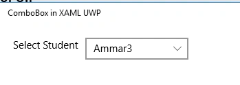 ComboBox Data Binding 