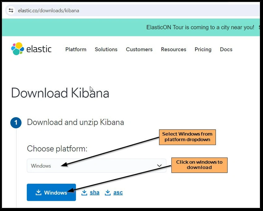 Download Kibana