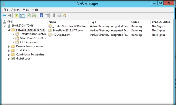 DNS