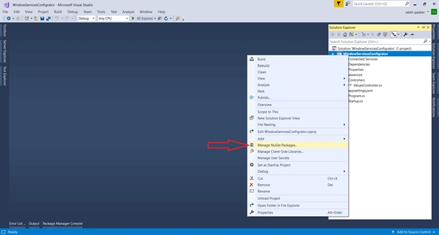 Configuring Window Services Using ASP.NET Core WebAPI And Getting Values From AppSettings