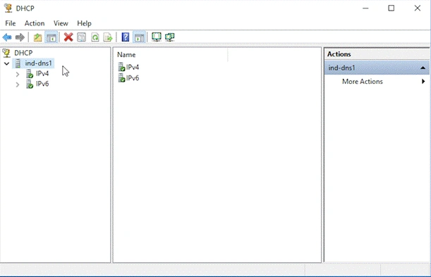 DHCP Manager