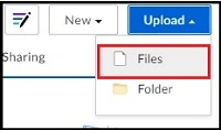 Files