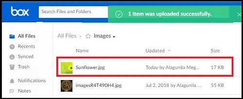 File Uploaded