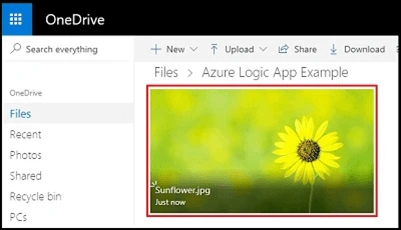 File is copied