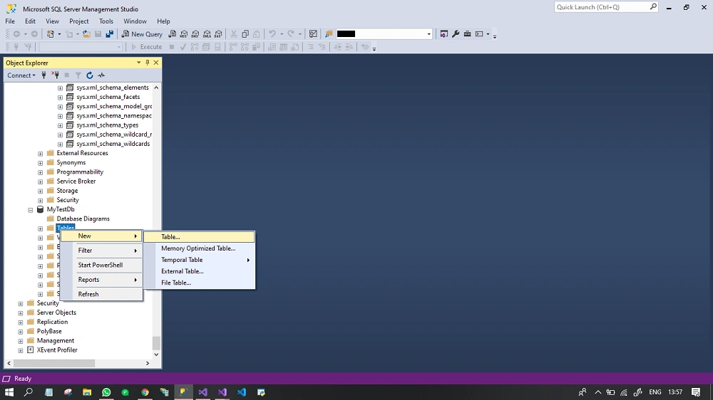 Connect MS SQL And MySQL Database To Your .NET Core Web API
