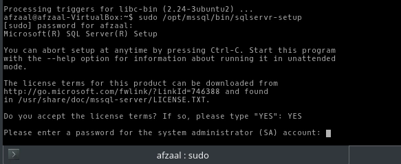 SQL Server