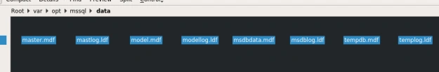 SQL Server