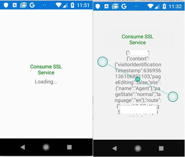 Consume Https Service With Self-Signed Certificate In Xamarin Forms
