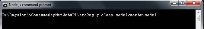  command window