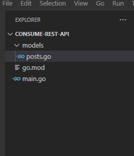 Consuming REST APIs in Golang