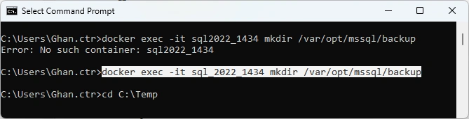 Container (3-1), Get Backup File into Container