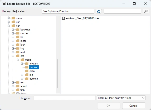 Container (3-1), Get Backup File into Container