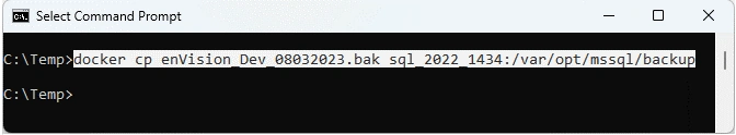 Container (3-1), Get Backup File into Container