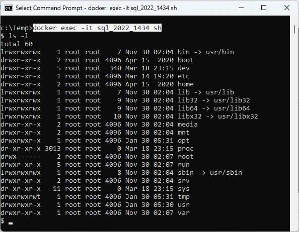 Container (3-1), Get Backup File into Container