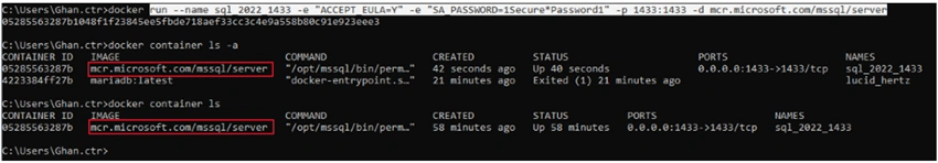 Installing SQL Server into Docker