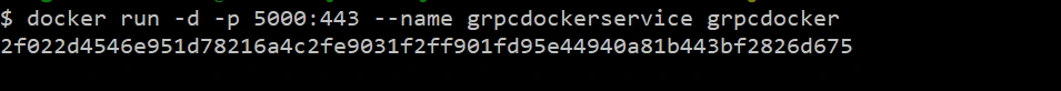 Containerizing gRPC Service
