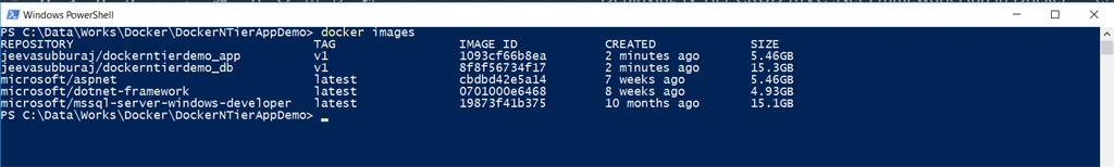 Containerizing N-Tier MVC .NET Framework Application With Docker