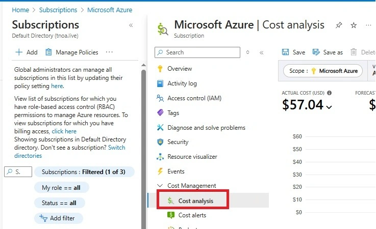 Cost Analysis