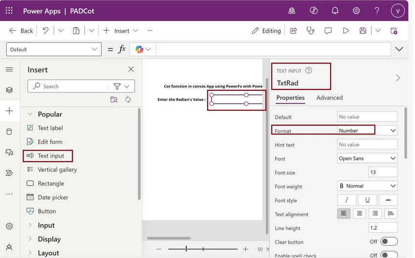 TextInput control 