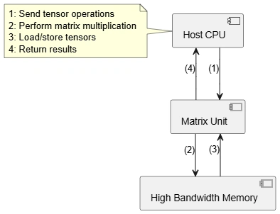tpu