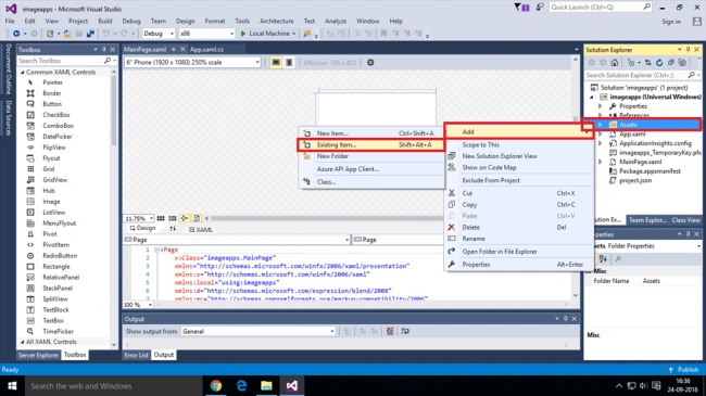 Univesal Windows Platform