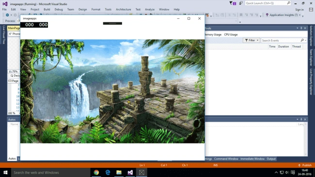 Univesal Windows Platform