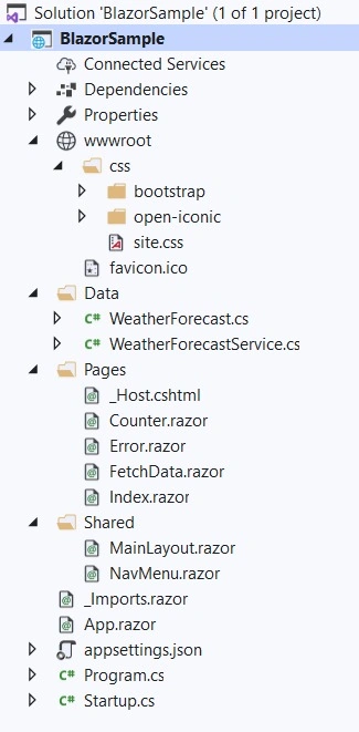 Blazor project