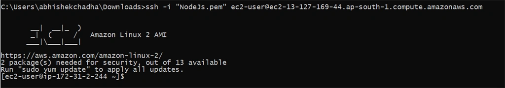 Create Amazon Linux AMI EC2 Instance And Deploy NodeJS Application