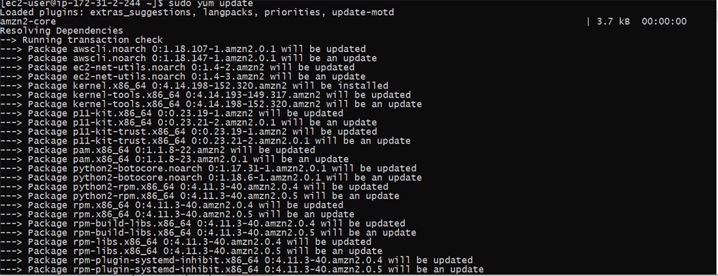 Create Amazon Linux AMI EC2 Instance And Deploy NodeJS Application