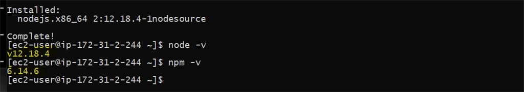 Create Amazon Linux AMI EC2 Instance And Deploy NodeJS Application
