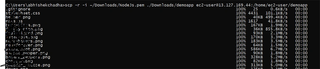 Create Amazon Linux AMI EC2 Instance And Deploy NodeJS Application